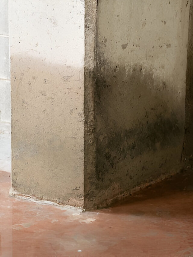 What to Do If Your Basement Floods