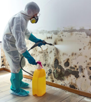 Mold remediation expert spraying disinfectant on heavily mold-infested wall.
