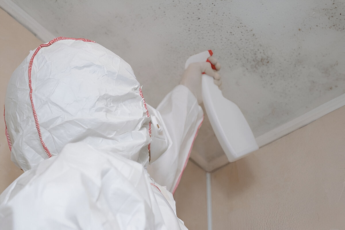 Worker in protective suit spraying mold on ceiling with cleaning solution.