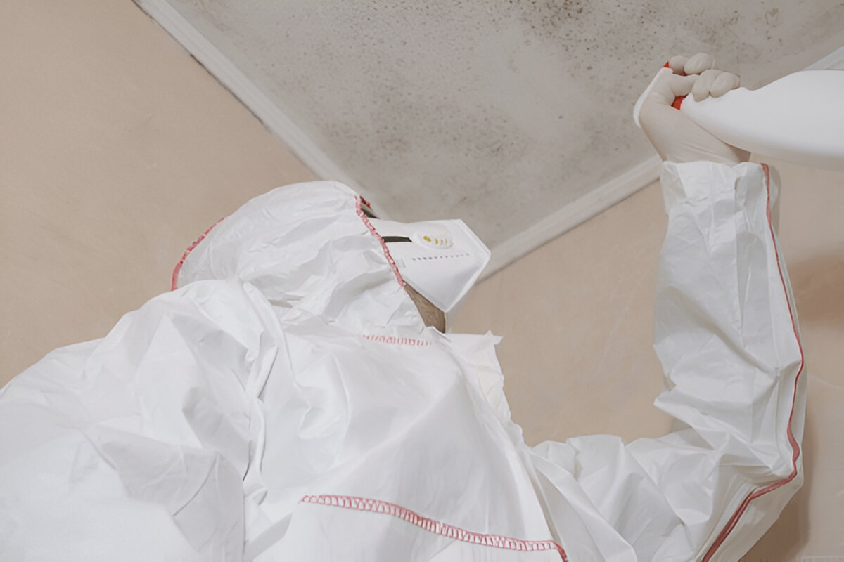 Worker in protective suit spraying cleaning solution on a moldy ceiling.
