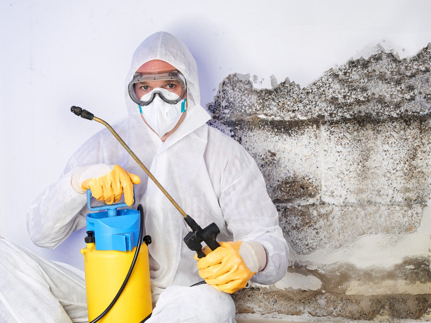Trusted Mold Removal Professionals – Effective Solutions for Your Home 2 Mold remediation specialist in protective suit using sprayer near moldy wall.