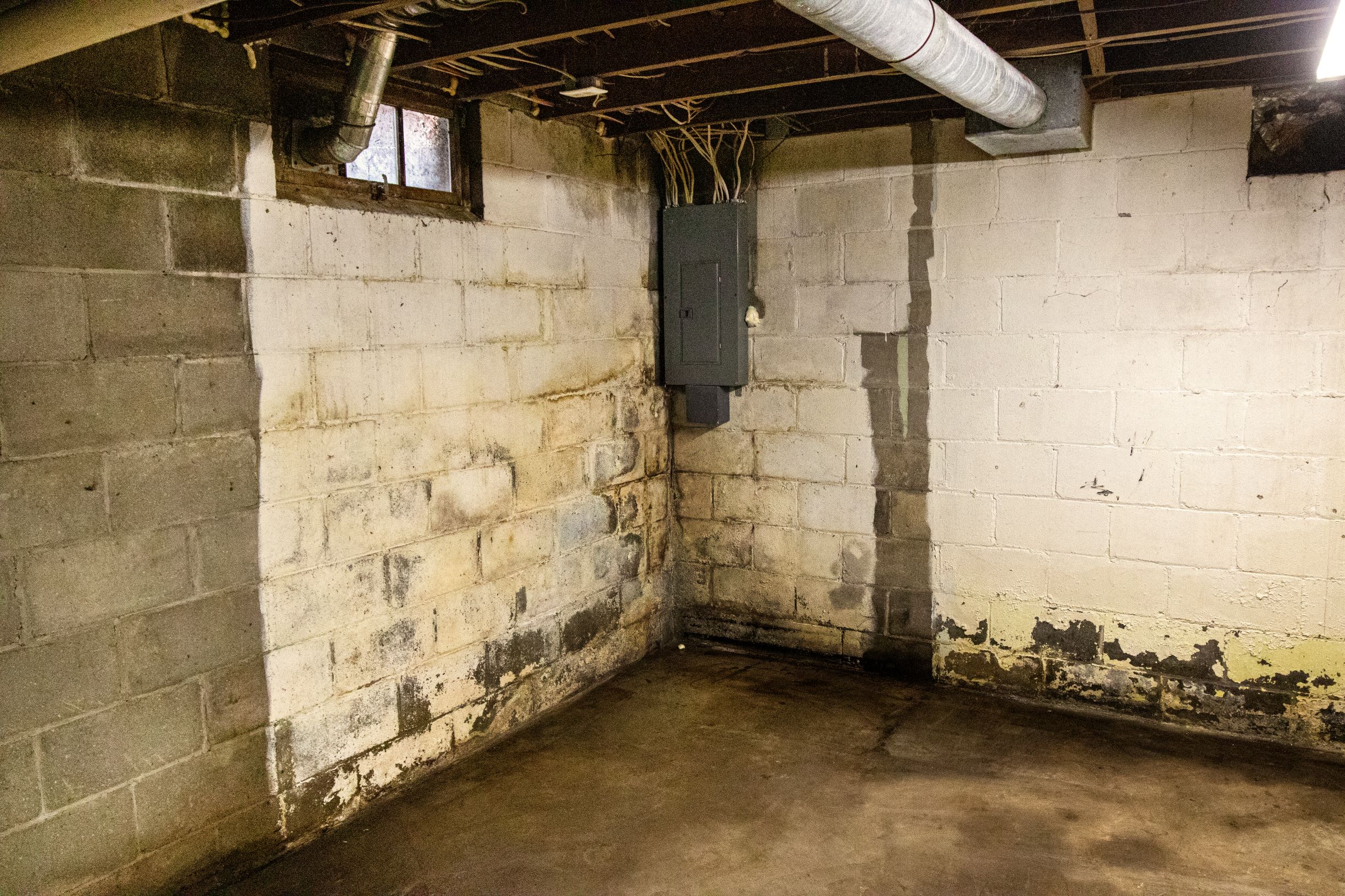 A room with visible moisture and mold marks on the wall. The floor is wet, and there are water damage signs at the bottom of the wall.