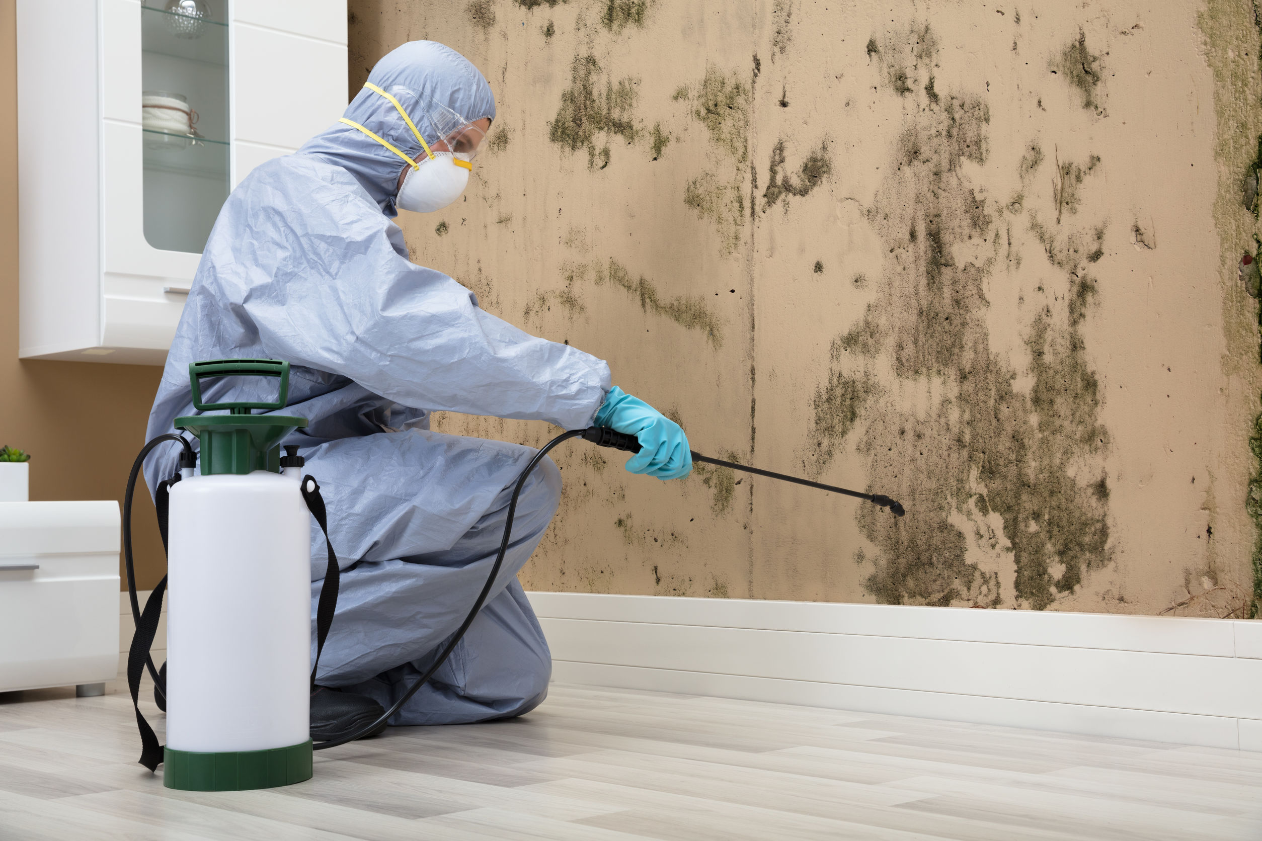 Mold Remediation Experts: Restore Your Home with Professional Mold Remediation Services 3 Professional in protective gear performing mold remediation on an interior wall.