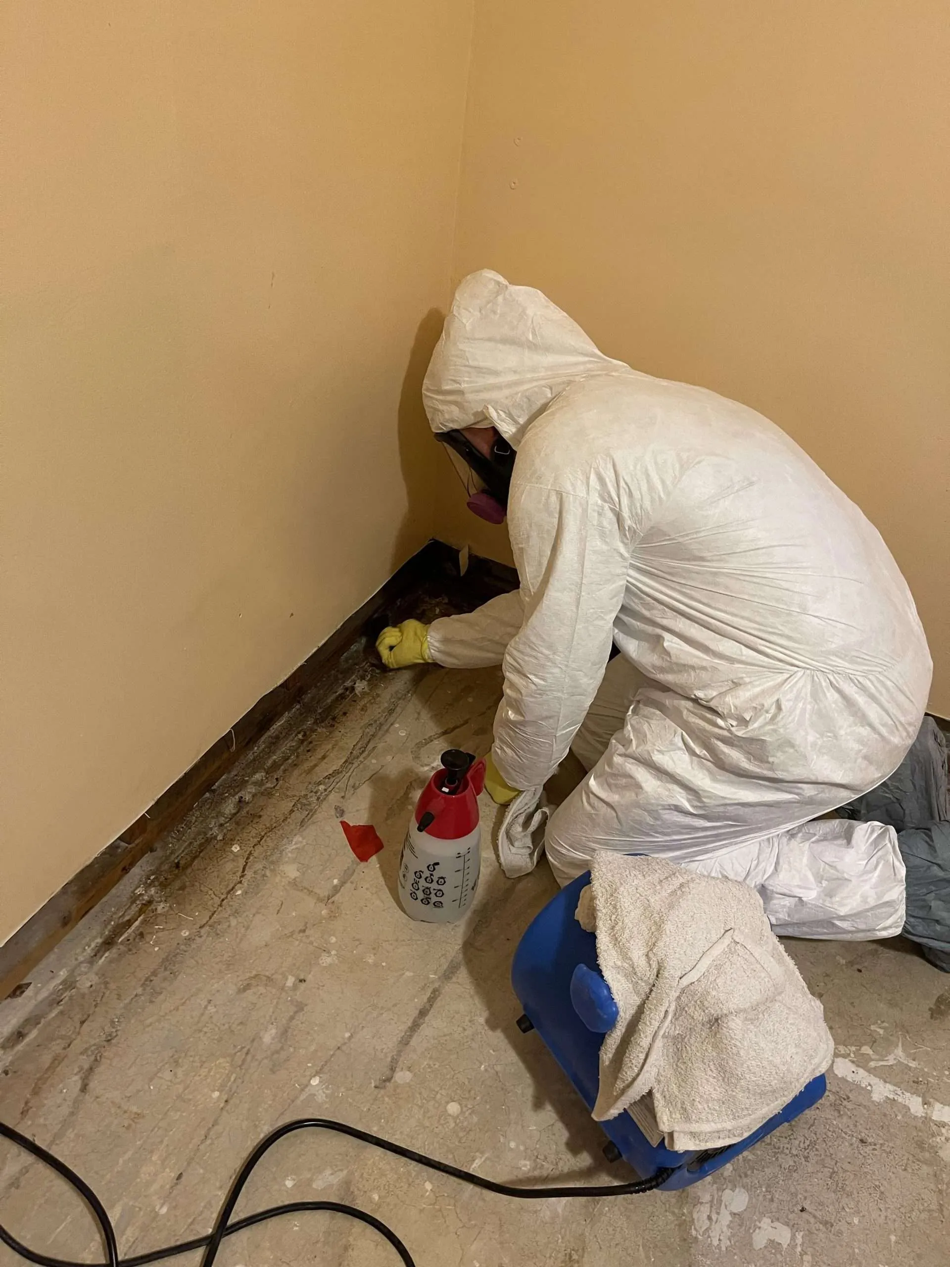 Trusted Mold Removal Professionals – Effective Solutions for Your Home 1 Professional in protective suit cleaning mold and water damage on wall and floor.