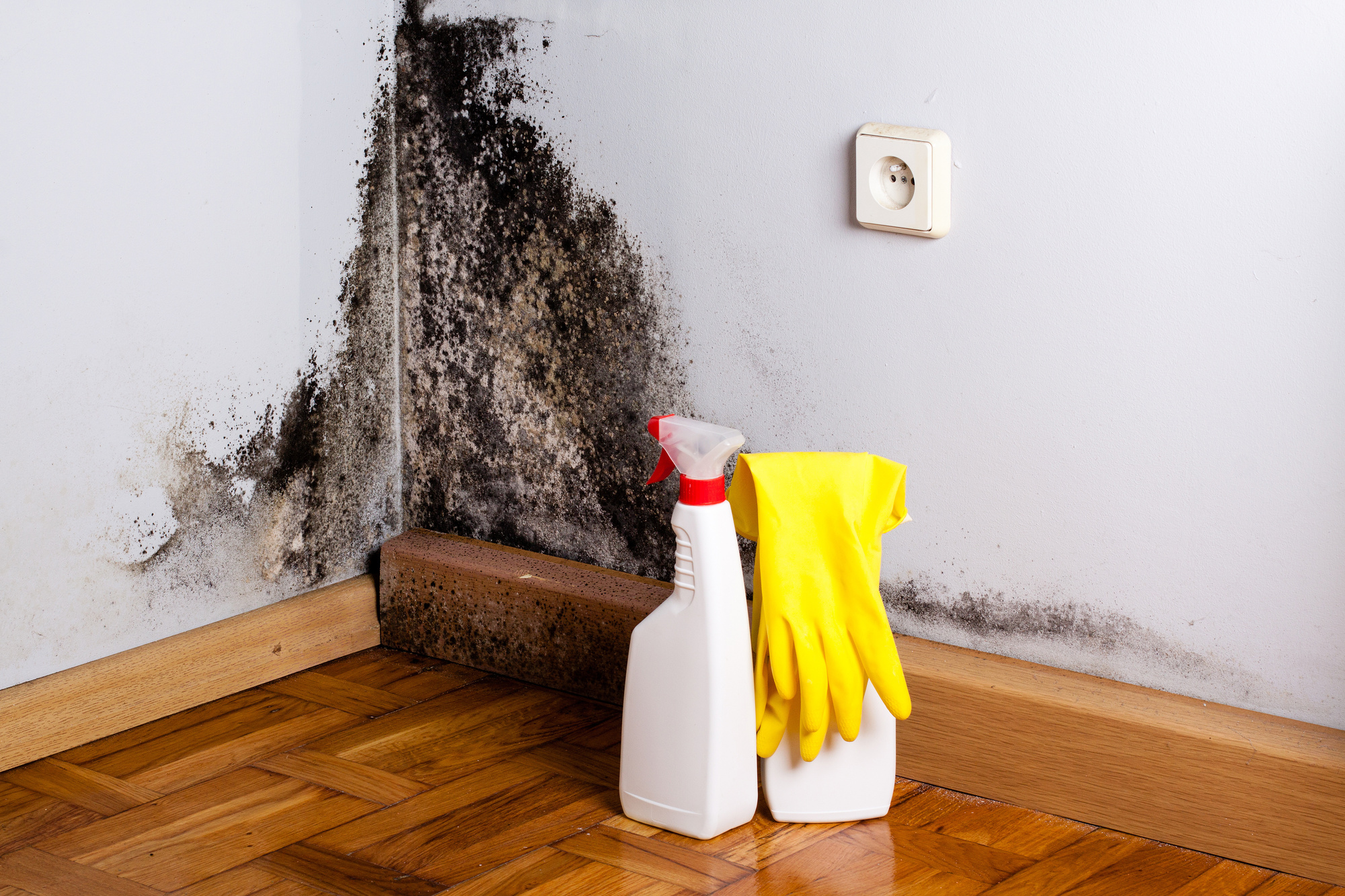 Mold and damp stains on a wall corner with cleaning spray bottle and yellow gloves.