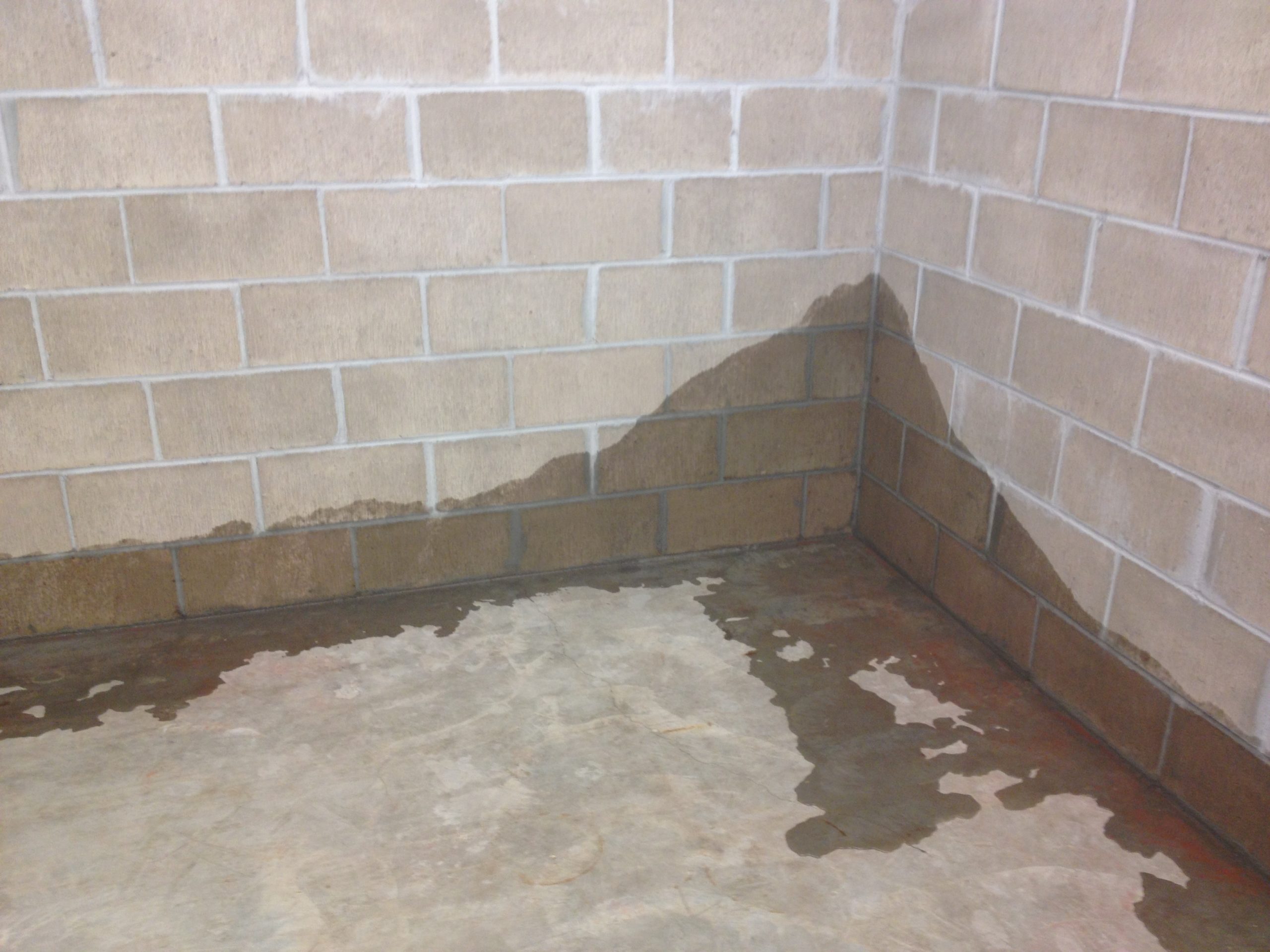 Basement wall with visible water seepage and damp concrete floor
