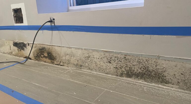 Mold mildew remover bottle on DMV basement wall with moisture damage