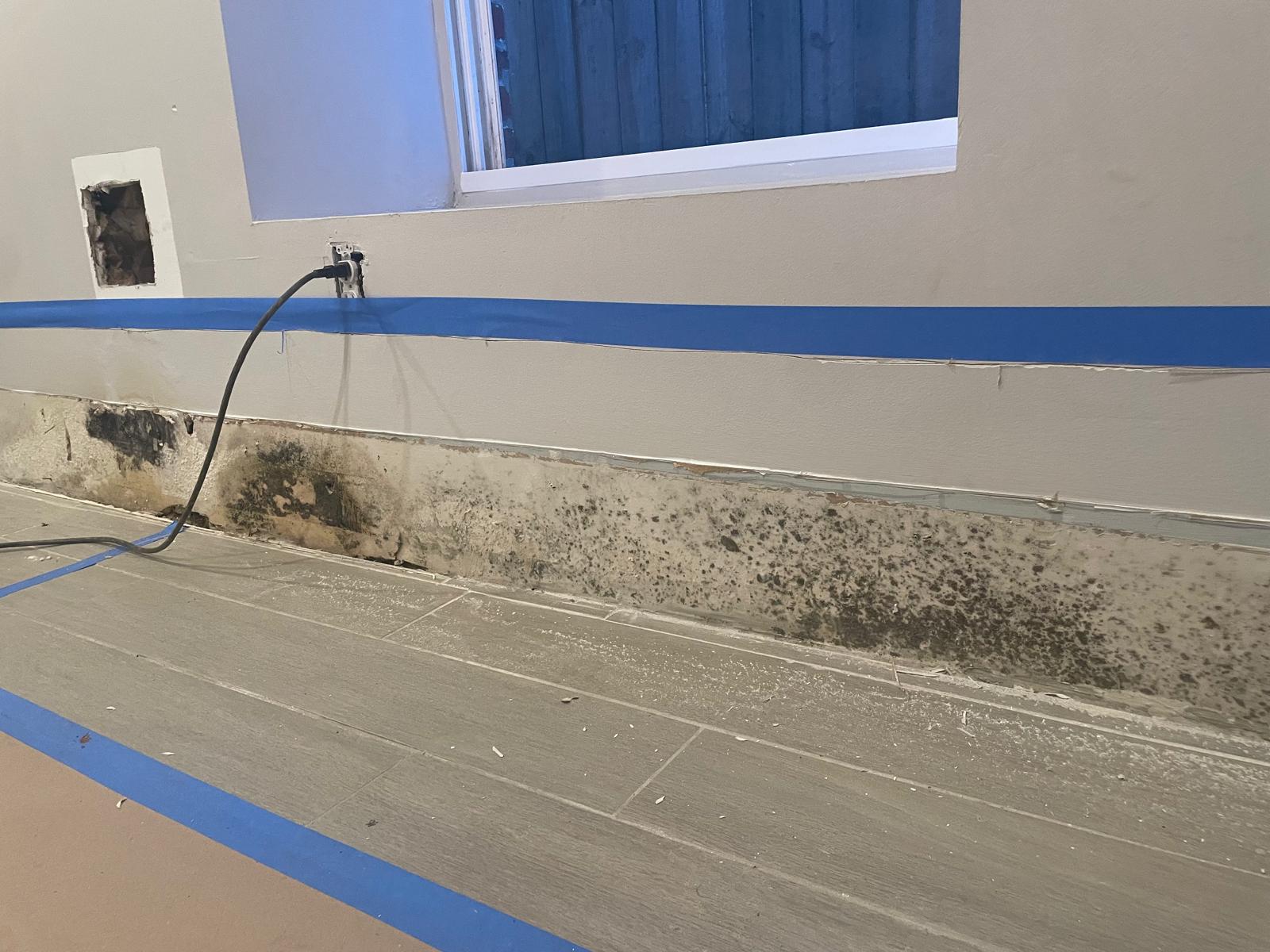 Mold mildew remover bottle on DMV basement wall with moisture damage
