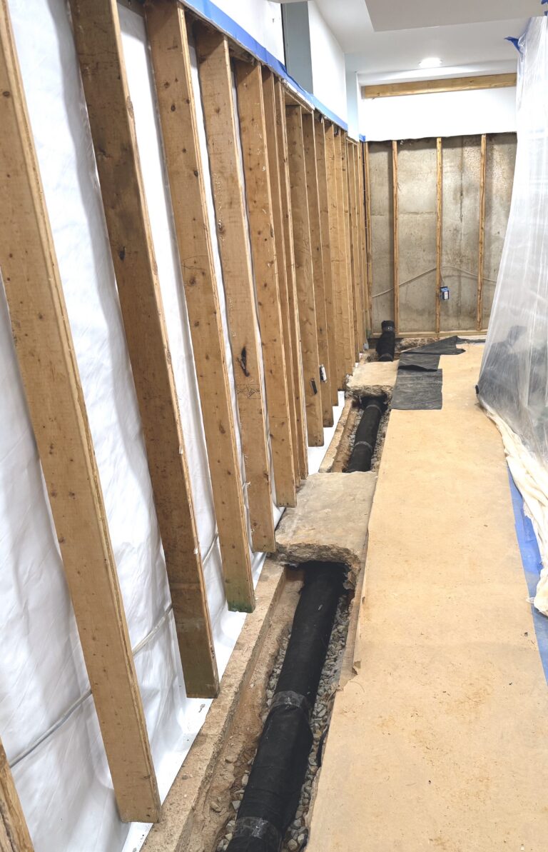 Basement water damage solutions DMV home protection