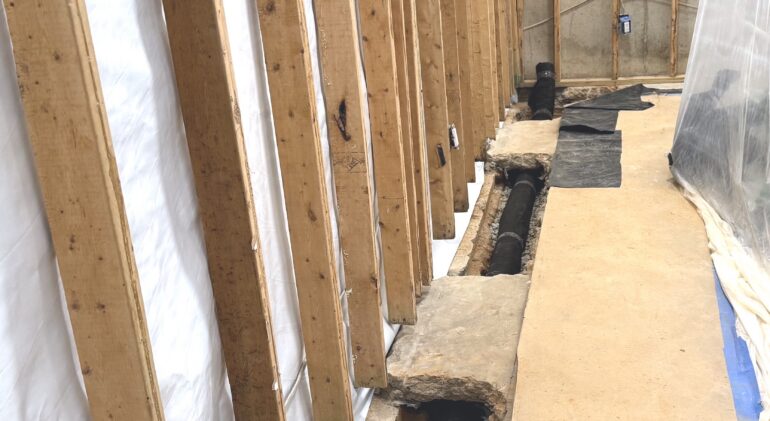 Basement water damage solutions DMV home protection
