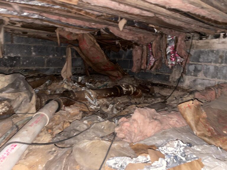 Crawl space waterproofing DMV home protection