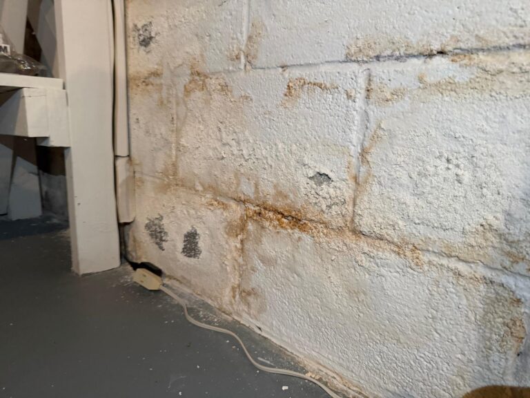 How water gets into a DMV basement — 7 common entry points