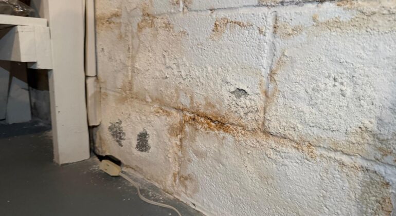 How water gets into a DMV basement — 7 common entry points