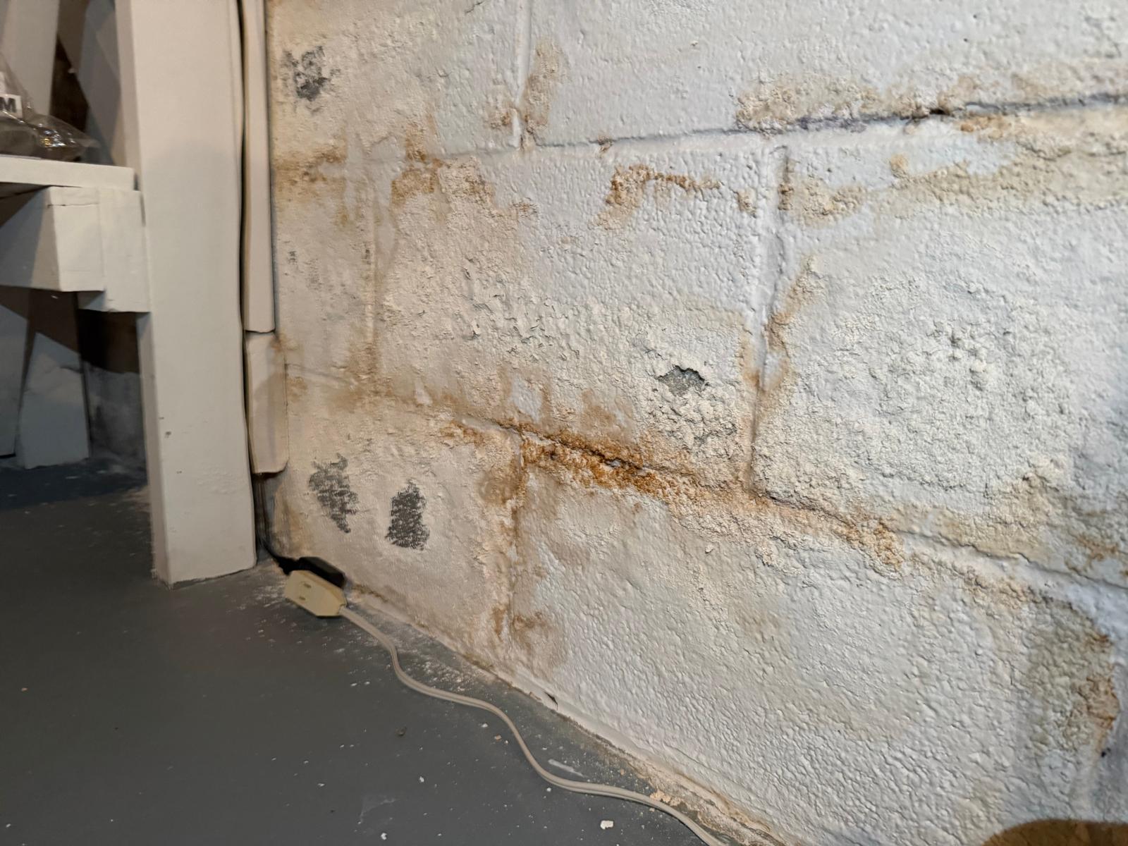 How water gets into a DMV basement — 7 common entry points