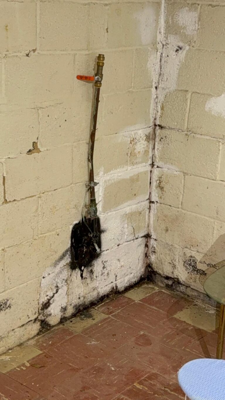 underground water DMV basement