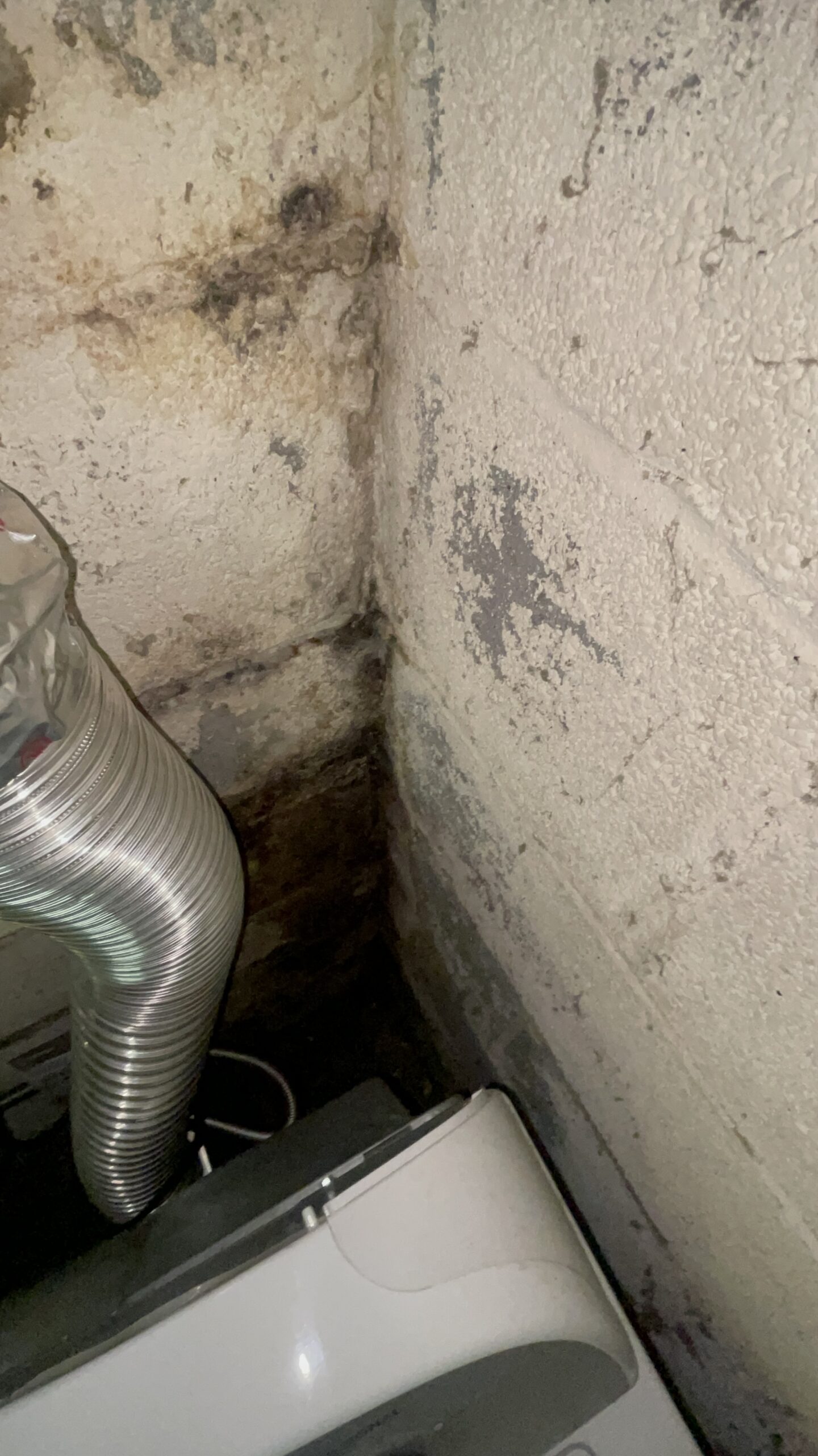 Mold and water staining in a CMU basement corner before waterproofing — Manassas, VA