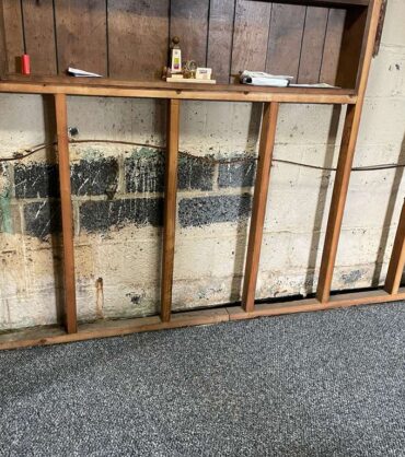 Before — a heavy black mold band along a CMU block basement wall in Olney, MD, where roof water had soaked into the block