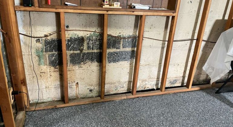 Before — a heavy black mold band along a CMU block basement wall in Olney, MD, where roof water had soaked into the block