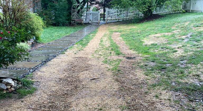 The Street Drained Into the Front Yard: A French Drain for a Below-Grade Home in North Potomac 1 The restored front yard photographed during rainfall — ground wet, no standing water anywhere — North Potomac, MD