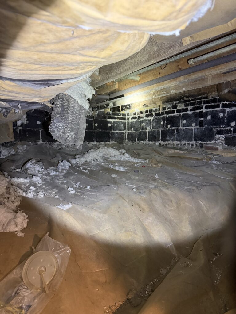 White efflorescence blooming across a block foundation wall in a crawl space, with a torn vapor barrier and fallen insulation on the ground
