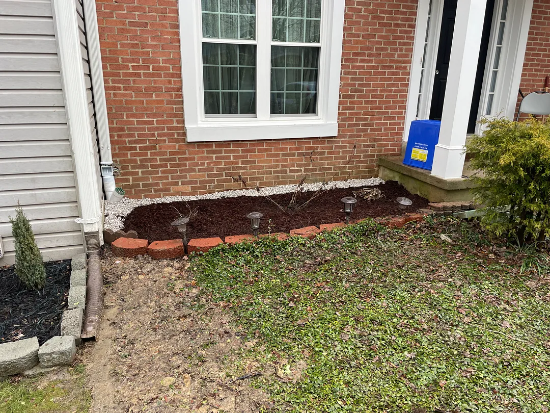 Exterior French Drain and Buried Downspout in Silver Spring, MD: A Real Front-Yard Project 4 Finished Silver Spring front planting bed after exterior French drain and buried downspout work, with mulch and white-stone border