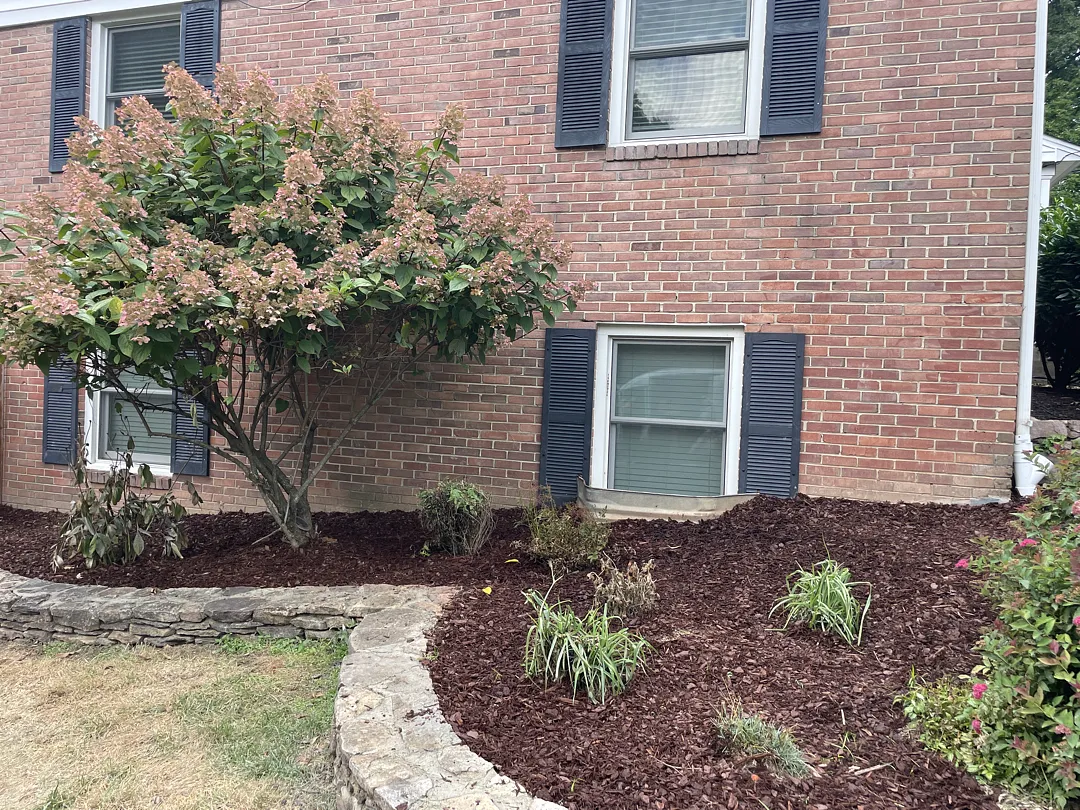 Potomac, MD Exterior Waterproofing Beside a Brick Foundation 3 Restored mulch planting bed beside the Potomac brick facade after foundation work
