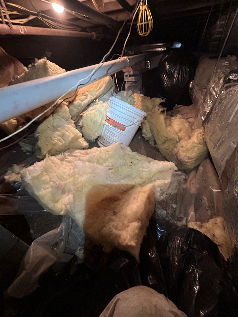 Before cleanup: fallen insulation and debris in the Washington, DC crawl space