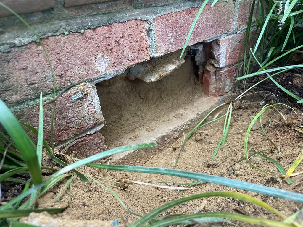 Basement Vent Leak Repair in Potomac, MD | Real Case 1 Open low brick exterior vent beneath a basement window before sealing in Potomac, Maryland