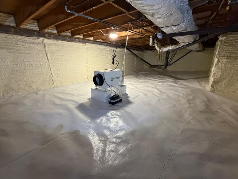 Finished Bethesda crawl space with sealed white ground liner, insulated walls and dehumidifier
