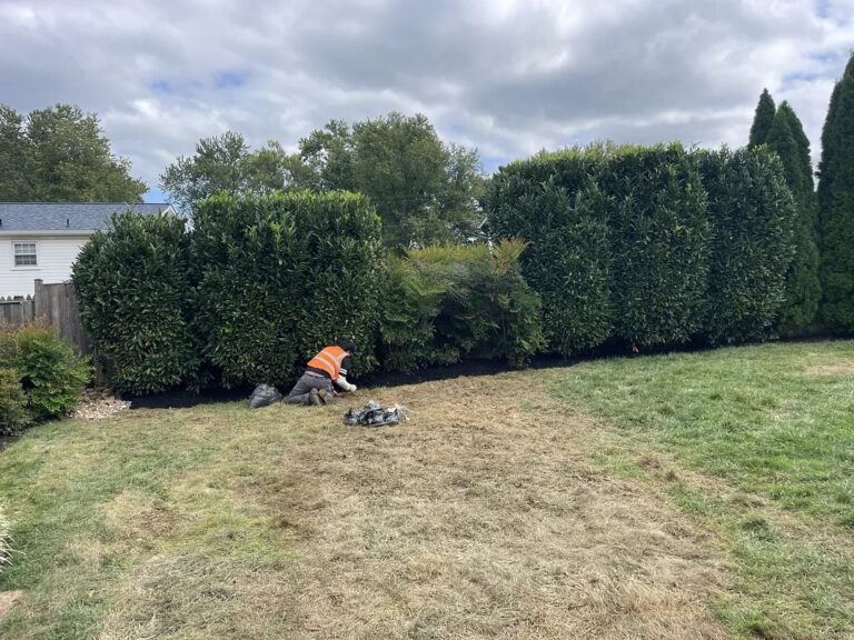 Crew replacing sod over a new yard drainage line in Potomac, Maryland