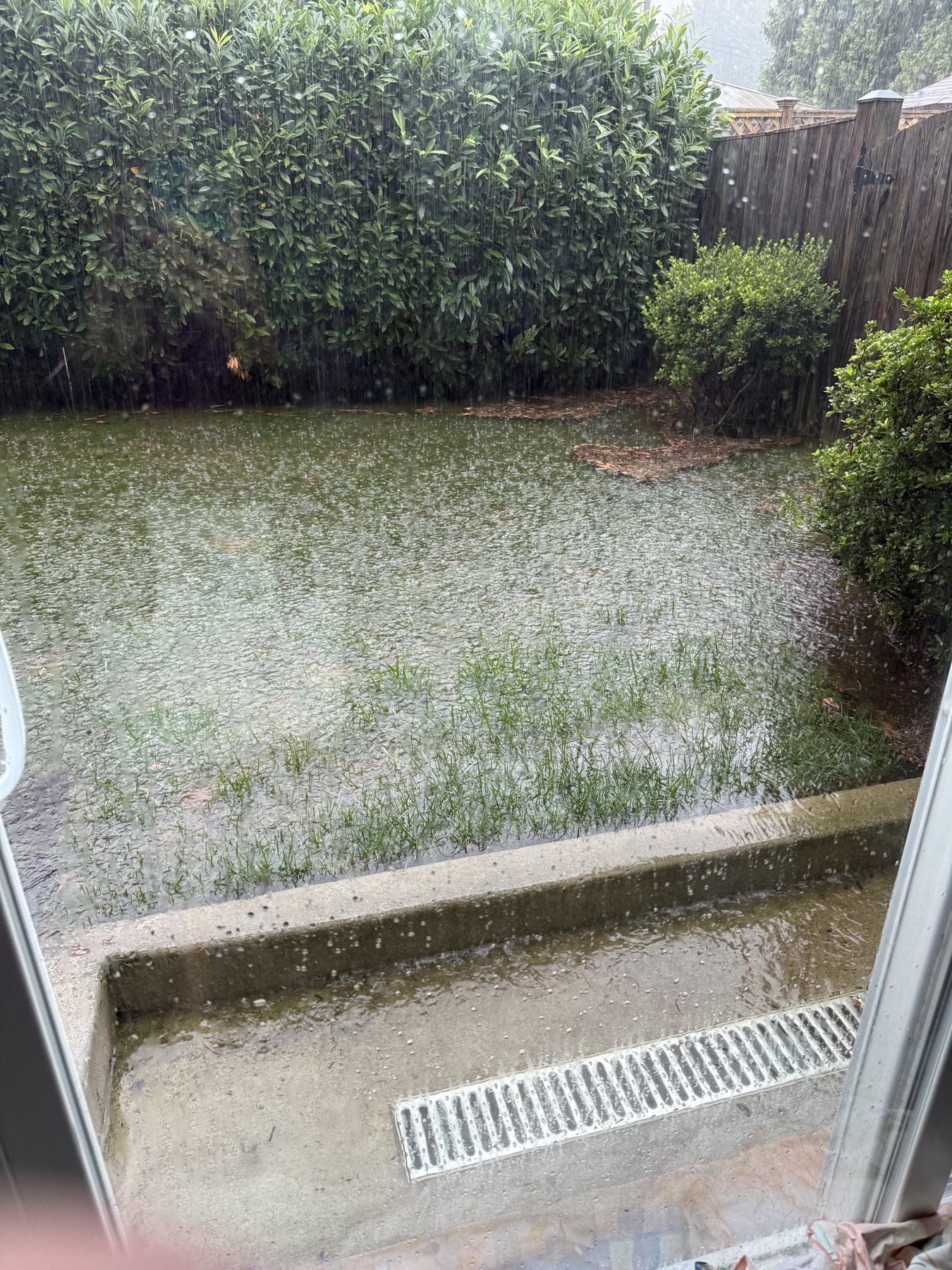 Heavy rainwater pooling across a Potomac backyard beside the basement entrance before drainage repairs